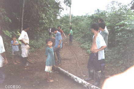 Minga para colocar los postes en la comunidad indígena Chiwias - Provincia Morona Santiago - Ecuador