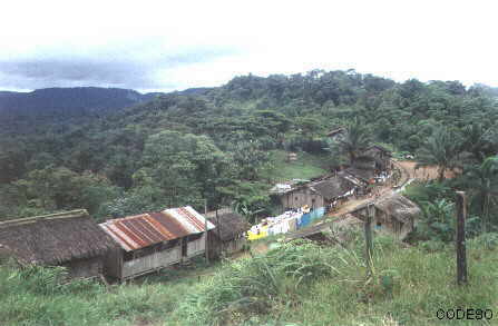 View of the community of Ventanas and the woods