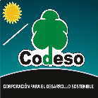 Verein für Nachhaltige Entwicklung CODESO