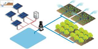 Sistemas de agua de riego agricola apicola