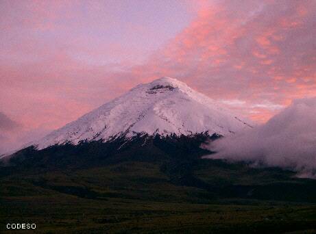 Cotopaxi - Parque Nacional - National Park 